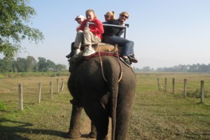 Chitwan National Park Jungle Safari Tour image