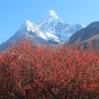 Short Annapurna Base Camp Trek image